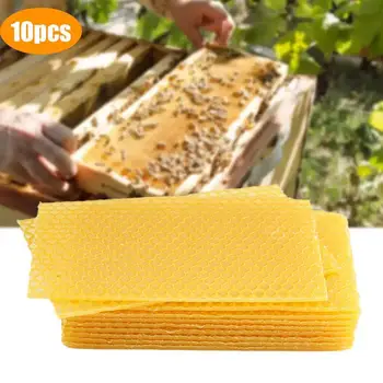 10tk Loomulik Mesindus Mesilaste Baasi Kärgstruktuuri Tükki Sihtasutus Hallituse Mesipuu Kühveldada Mesindus Beeware Mesilasvaha Tegemise Vahendid