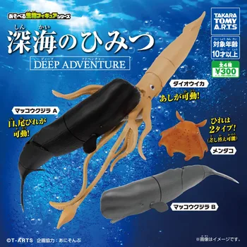 Jaapani Tõeline Gacha Skaala Mudel Vallas Mini Merebioloogia Hiiglaslik Kalmaar Dumbo Kaheksajalg Kašeloti Tegevus Joonis Mänguasjad